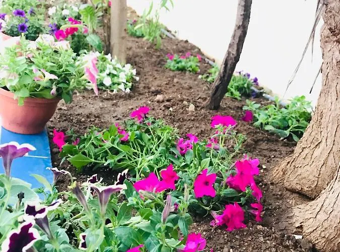 Отель Nil Mars Бодрум