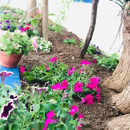 Hotel Nil Mars Bodrum